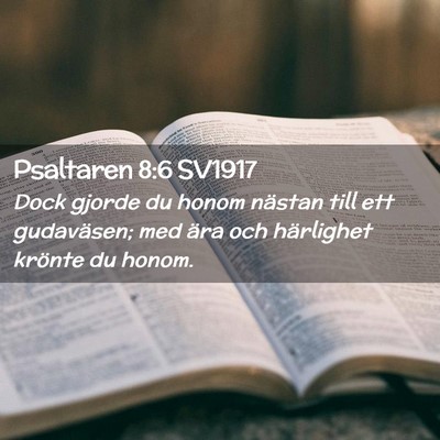 Picture 02 - Psaltaren 8:6 SV1917 - Dock gjorde du honom nästan till ett gudaväsen; - Bible Verse Picture