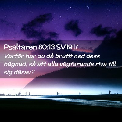 Picture 02 - Psaltaren 80:13 SV1917 - Varför har du då brutit ned dess hägnad, så - Bible Verse Picture