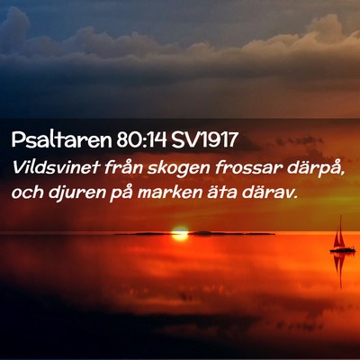 Picture 02 - Psaltaren 80:14 SV1917 - Vildsvinet från skogen frossar därpå, och - Bible Verse Picture