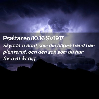 Picture 02 - Psaltaren 80:16 SV1917 - Skydda trädet som din högra hand har planterat, - Bible Verse Picture