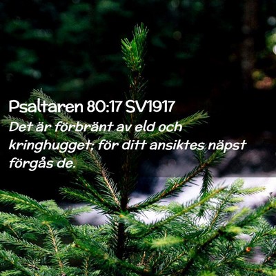 Picture 02 - Psaltaren 80:17 SV1917 - Det är förbränt av eld och kringhugget; för - Bible Verse Picture