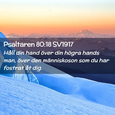Picture 02 - Psaltaren 80:18 SV1917 - Håll din hand över din högra hands man, över - Bible Verse Picture