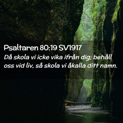 Picture 02 - Psaltaren 80:19 SV1917 - Då skola vi icke vika ifrån dig; behåll oss - Bible Verse Picture