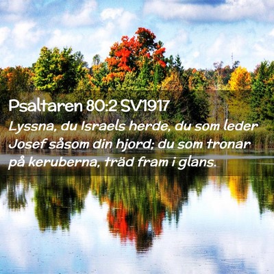 Picture 02 - Psaltaren 80:2 SV1917 - Lyssna, du Israels herde, du som leder Josef - Bible Verse Picture