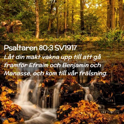 Picture 02 - Psaltaren 80:3 SV1917 - Låt din makt vakna upp till att gå framför - Bible Verse Picture