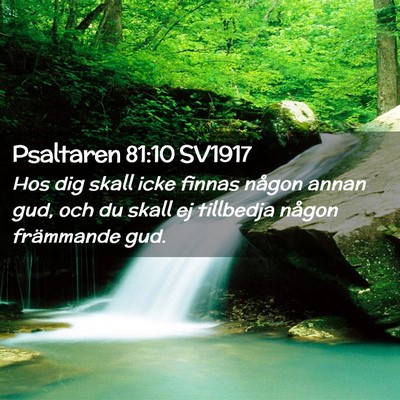Picture 02 - Psaltaren 81:10 SV1917 - Hos dig skall icke finnas någon annan gud, och - Bible Verse Picture