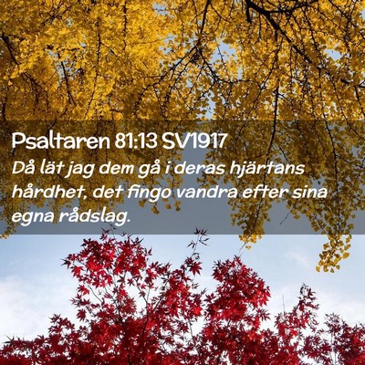 Picture 02 - Psaltaren 81:13 SV1917 - Då lät jag dem gå i deras hjärtans hårdhet, - Bible Verse Picture