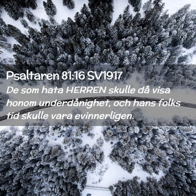 Picture 02 - Psaltaren 81:16 SV1917 - De som hata HERREN skulle då visa honom - Bible Verse Picture