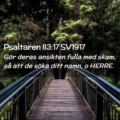 Picture 02 - Psaltaren 83:17 SV1917 - Gör deras ansikten fulla med skam, så att de - Bible Verse Picture