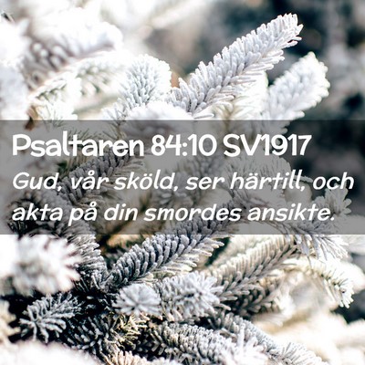 Picture 02 - Psaltaren 84:10 SV1917 - Gud, vår sköld, ser härtill, och akta på din - Bible Verse Picture