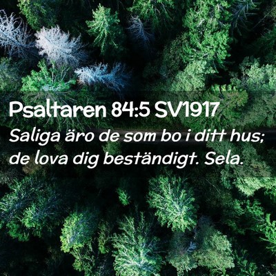 Picture 02 - Psaltaren 84:5 SV1917 - Saliga äro de som bo i ditt hus; de lova dig - Bible Verse Picture