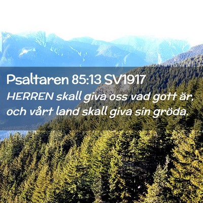 Picture 02 - Psaltaren 85:13 SV1917 - HERREN skall giva oss vad gott är, och vårt - Bible Verse Picture