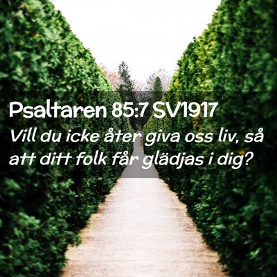 Picture 02 - Psaltaren 85:7 SV1917 - Vill du icke åter giva oss liv, så att ditt - Bible Verse Picture