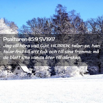 Picture 02 - Psaltaren 85:9 SV1917 - Jag vill höra vad Gud, HERREN, talar: se, han - Bible Verse Picture