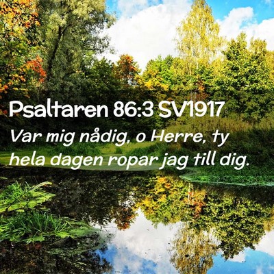 Picture 02 - Psaltaren 86:3 SV1917 - Var mig nådig, o Herre, ty hela dagen ropar jag - Bible Verse Picture