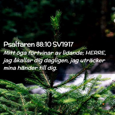Picture 02 - Psaltaren 88:10 SV1917 - Mitt öga förtvinar av lidande; HERRE, jag - Bible Verse Picture