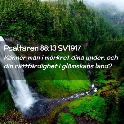 Picture 02 - Psaltaren 88:13 SV1917 - Känner man i mörkret dina under, och din - Bible Verse Picture