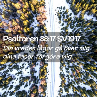 Picture 02 - Psaltaren 88:17 SV1917 - Din vredes lågor gå över mig, dina fasor - Bible Verse Picture