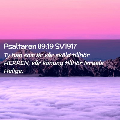 Picture 02 - Psaltaren 89:19 SV1917 - Ty han som är vår sköld tillhör HERREN, vår - Bible Verse Picture