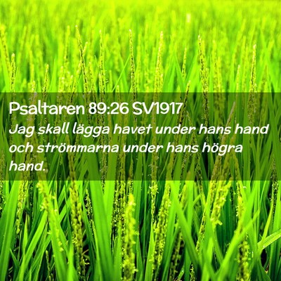 Picture 02 - Psaltaren 89:26 SV1917 - Jag skall lägga havet under hans hand och - Bible Verse Picture