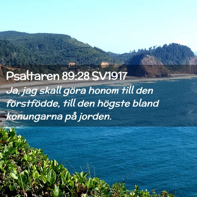 Picture 02 - Psaltaren 89:28 SV1917 - Ja, jag skall göra honom till den förstfödde, - Bible Verse Picture