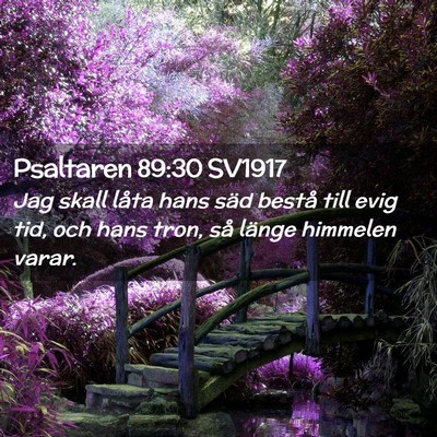 Picture 02 - Psaltaren 89:30 SV1917 - Jag skall låta hans säd bestå till evig tid, - Bible Verse Picture