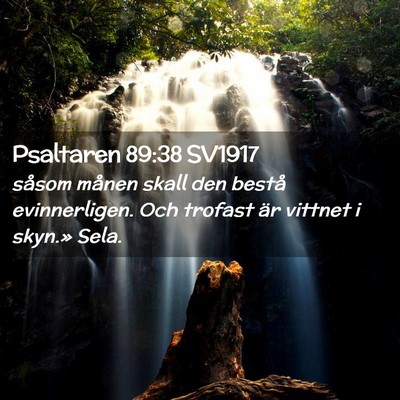 Picture 02 - Psaltaren 89:38 SV1917 - såsom månen skall den bestå evinnerligen. Och - Bible Verse Picture