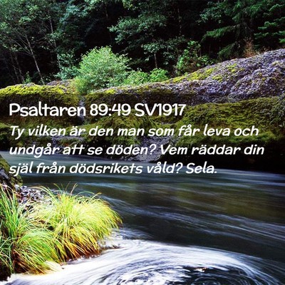 Picture 02 - Psaltaren 89:49 SV1917 - Ty vilken är den man som får leva och undgår - Bible Verse Picture