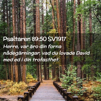 Picture 02 - Psaltaren 89:50 SV1917 - Herre, var äro din forna nådegärningar, vad du - Bible Verse Picture