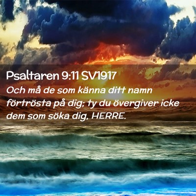 Picture 02 - Psaltaren 9:11 SV1917 - Och må de som känna ditt namn förtrösta på - Bible Verse Picture