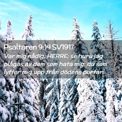 Picture 02 - Psaltaren 9:14 SV1917 - Var mig nådig, HERRE; se huru jag plågas av dem - Bible Verse Picture