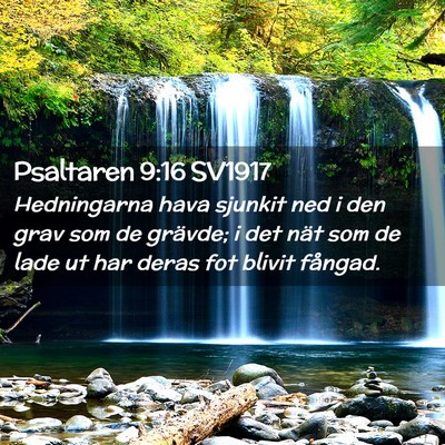 Picture 02 - Psaltaren 9:16 SV1917 - Hedningarna hava sjunkit ned i den grav som de - Bible Verse Picture