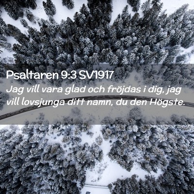 Picture 02 - Psaltaren 9:3 SV1917 - Jag vill vara glad och fröjdas i dig, jag vill - Bible Verse Picture