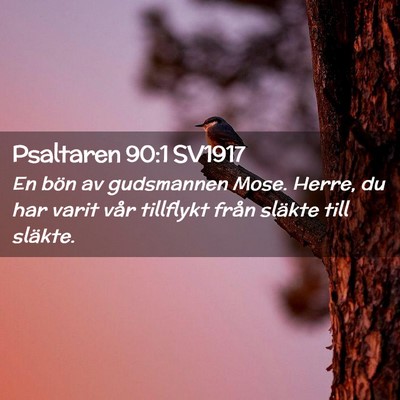 Picture 02 - Psaltaren 90:1 SV1917 - En bön av gudsmannen Mose. Herre, du har varit - Bible Verse Picture