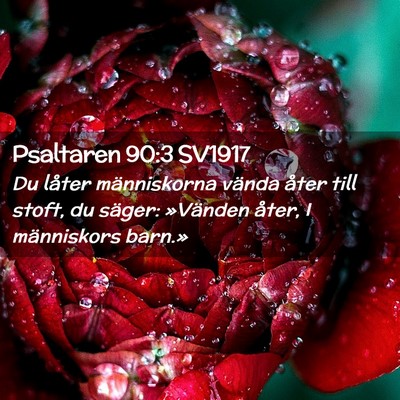 Picture 02 - Psaltaren 90:3 SV1917 - Du låter människorna vända åter till stoft, - Bible Verse Picture