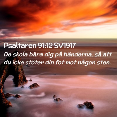 Picture 02 - Psaltaren 91:12 SV1917 - De skola bära dig på händerna, så att du icke - Bible Verse Picture