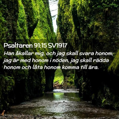 Picture 02 - Psaltaren 91:15 SV1917 - Han åkallar mig, och jag skall svara honom; jag - Bible Verse Picture