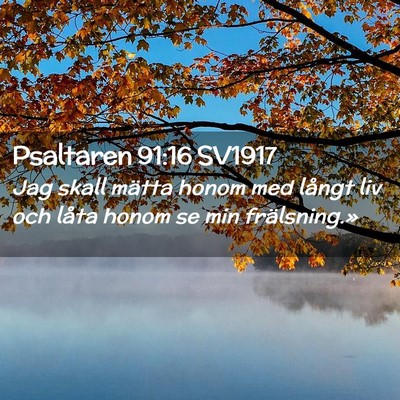Picture 02 - Psaltaren 91:16 SV1917 - Jag skall mätta honom med långt liv och låta - Bible Verse Picture
