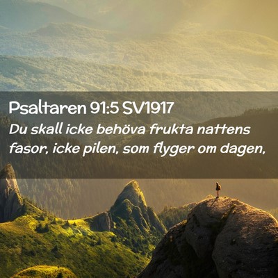 Picture 02 - Psaltaren 91:5 SV1917 - Du skall icke behöva frukta nattens fasor, icke - Bible Verse Picture