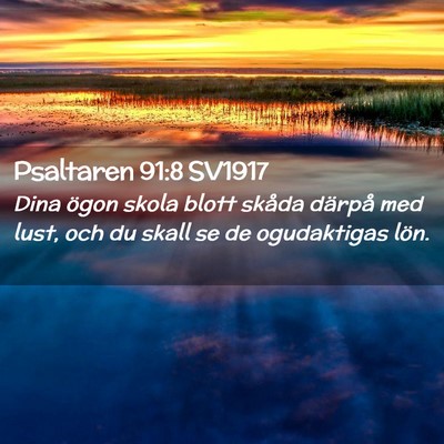 Picture 02 - Psaltaren 91:8 SV1917 - Dina ögon skola blott skåda därpå med lust, - Bible Verse Picture