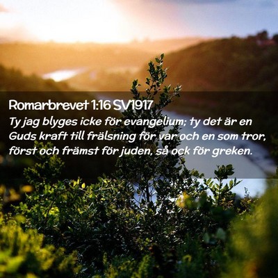 Picture 02 - Romarbrevet 1:16 SV1917 - Ty jag blyges icke för evangelium; ty det är en - Bible Verse Picture