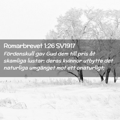 Picture 02 - Romarbrevet 1:26 SV1917 - Fördenskull gav Gud dem till pris åt skamliga - Bible Verse Picture