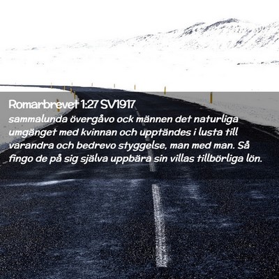 Picture 02 - Romarbrevet 1:27 SV1917 - sammalunda övergåvo ock männen det naturliga - Bible Verse Picture