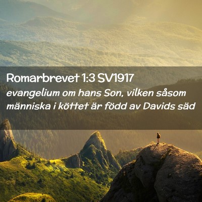 Picture 02 - Romarbrevet 1:3 SV1917 - evangelium om hans Son, vilken såsom människa i - Bible Verse Picture