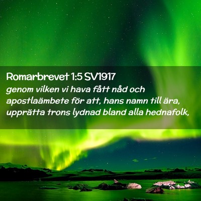 Picture 02 - Romarbrevet 1:5 SV1917 - genom vilken vi hava fått nåd och - Bible Verse Picture