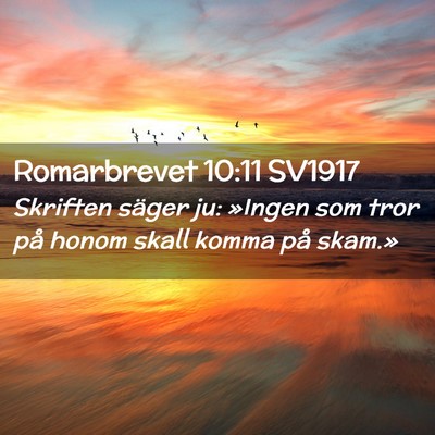 Picture 02 - Romarbrevet 10:11 SV1917 - Skriften säger ju: »Ingen som tror på honom - Bible Verse Picture
