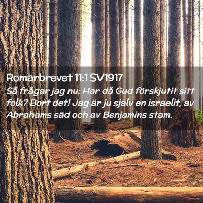 Picture 02 - Romarbrevet 11:1 SV1917 - Så frågar jag nu: Har då Gud förskjutit sitt - Bible Verse Picture