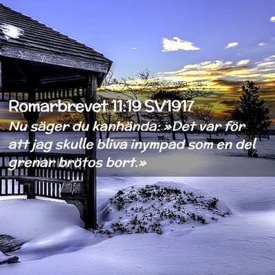 Picture 02 - Romarbrevet 11:19 SV1917 - Nu säger du kanhända: »Det var för att jag - Bible Verse Picture