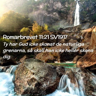Picture 02 - Romarbrevet 11:21 SV1917 - Ty har Gud icke skonat de naturliga grenarna, så - Bible Verse Picture