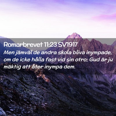 Picture 02 - Romarbrevet 11:23 SV1917 - Men jämväl de andra skola bliva inympade, om de - Bible Verse Picture